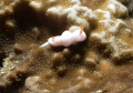   Very little nudy 35 dont know name 3-5  